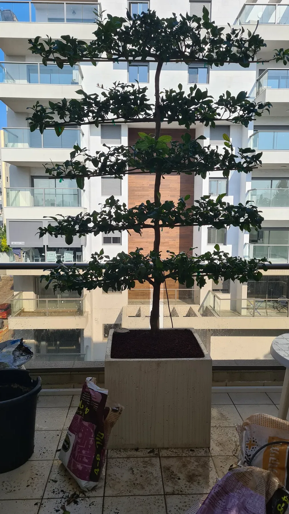 מרפסת קטנה ברחובות — תמונה 3