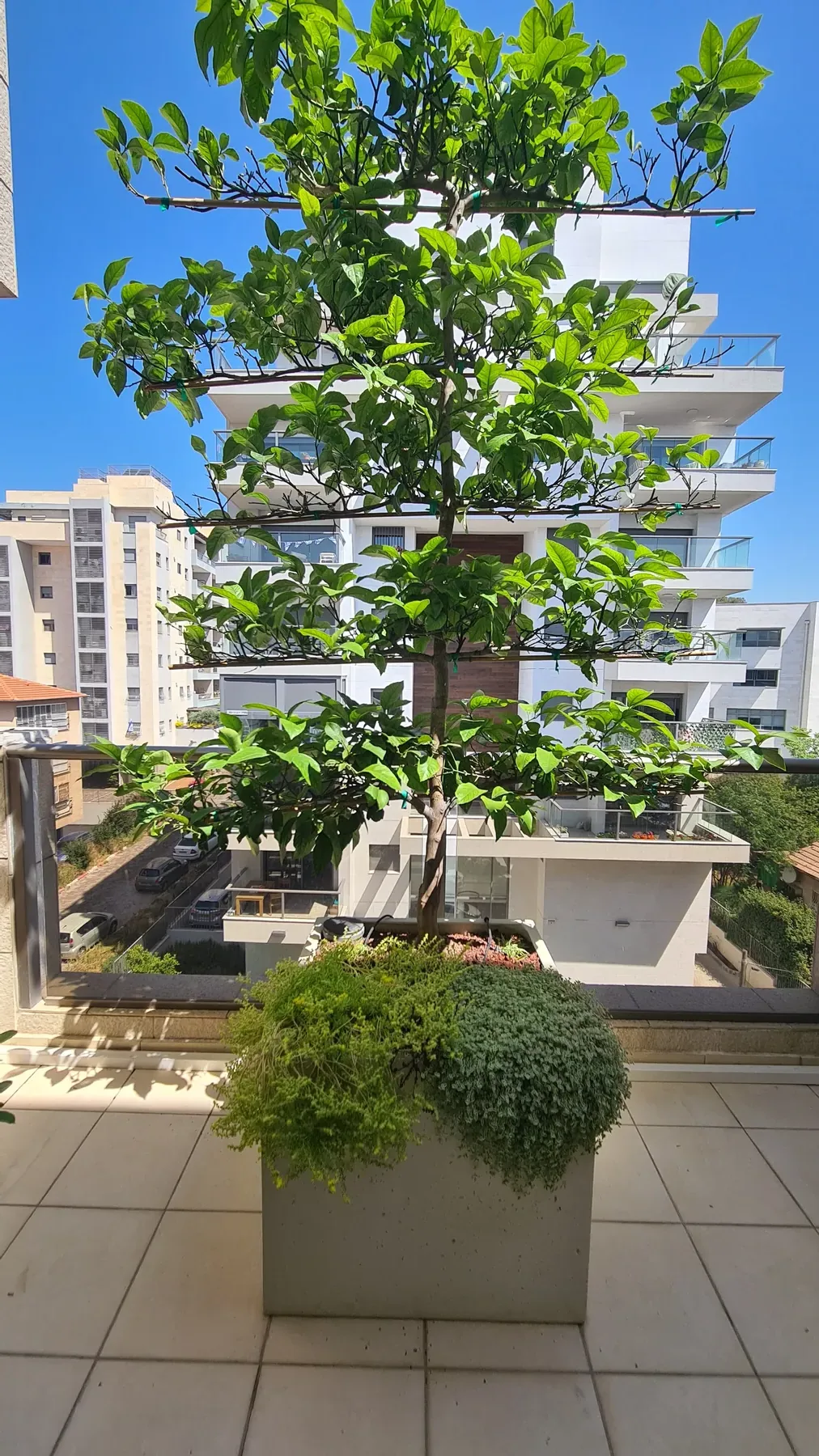 מרפסת קטנה ברחובות — תמונה 4