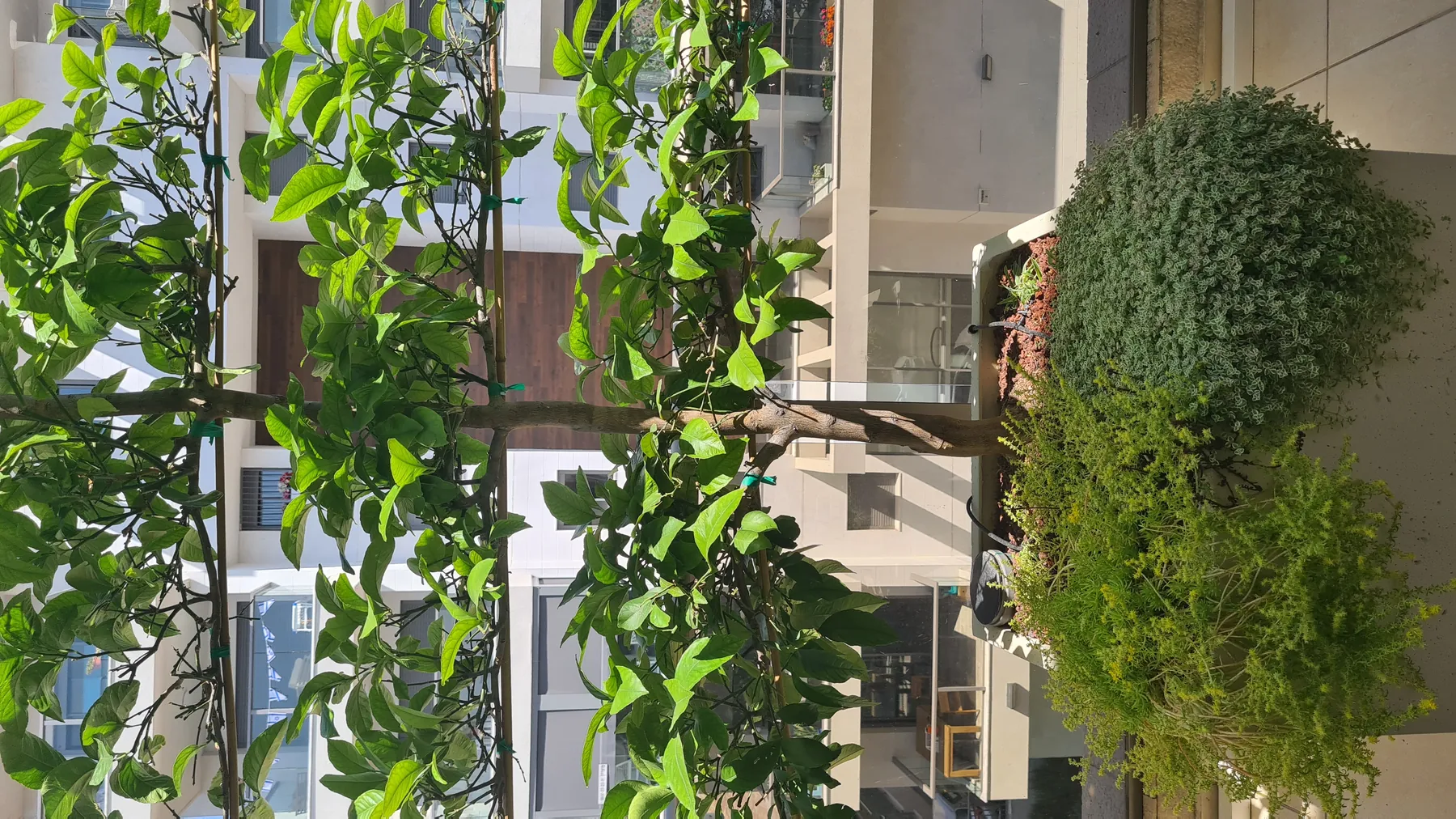 מרפסת קטנה ברחובות — תמונה 5