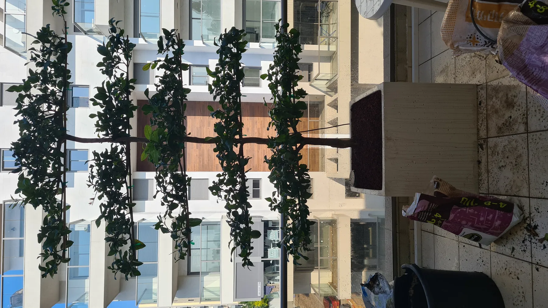 מרפסת קטנה ברחובות — תמונה 3