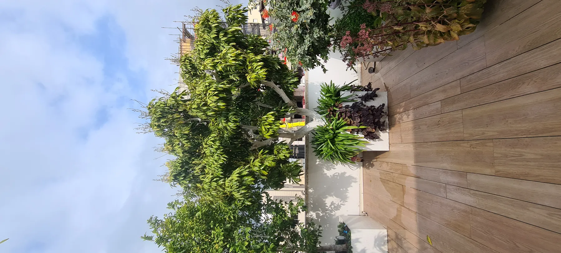 פנטהאוז ברחובות — תמונה 5