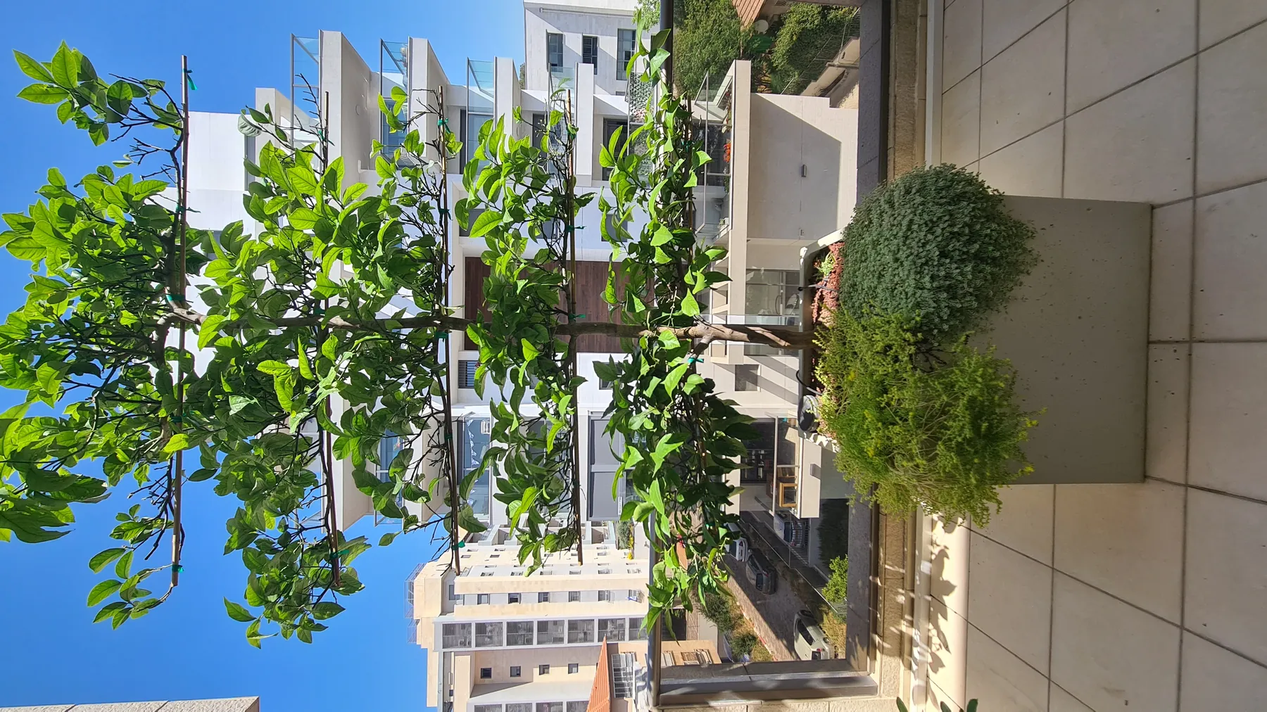 מרפסת קטנה ברחובות — תמונה 4